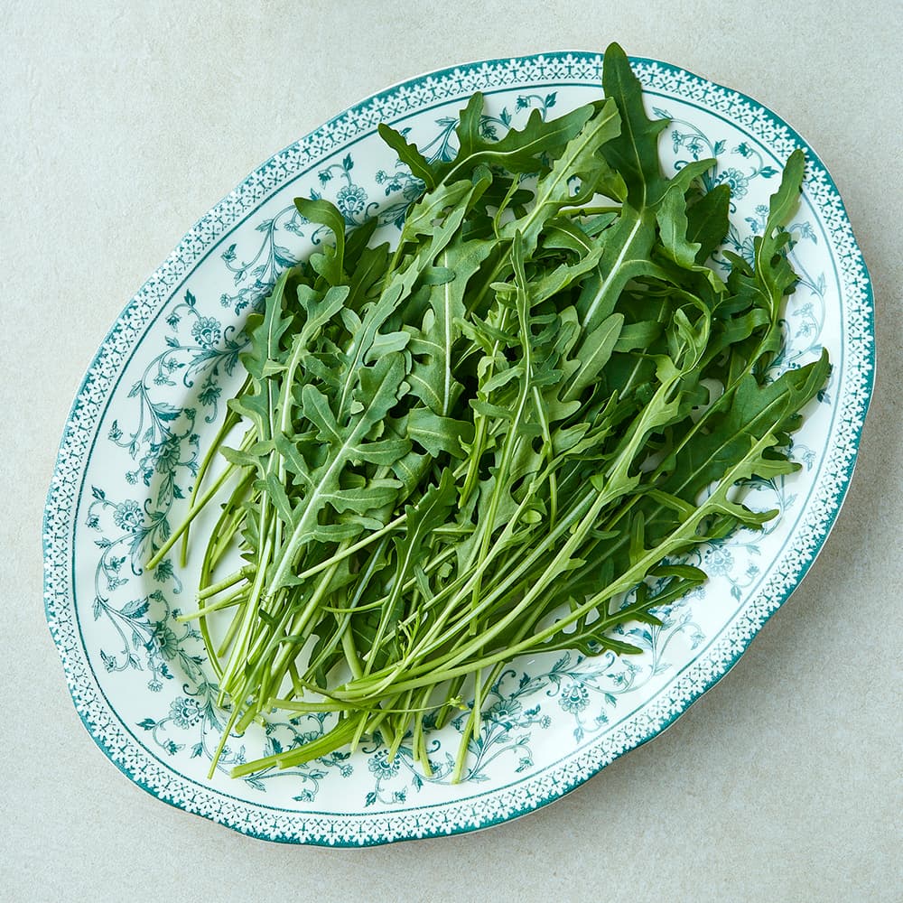 국내산 와일드 루꼴라