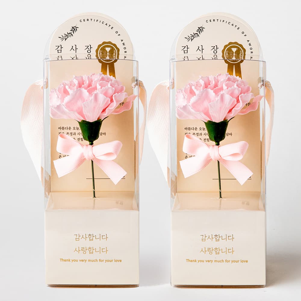 뷰티풀데코센스 비누꽃 한 송이 감사장 카네이션 2종 세트